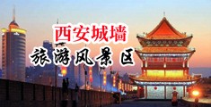 小骚逼大鸡巴巴视频国产中国陕西-西安城墙旅游风景区